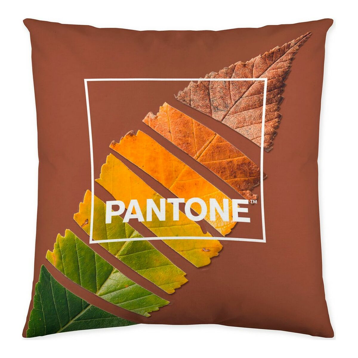 Tyynysuoja Leaf Pantone Localization-B086JQ6G5Z Käännettävä (50 x 50 cm)