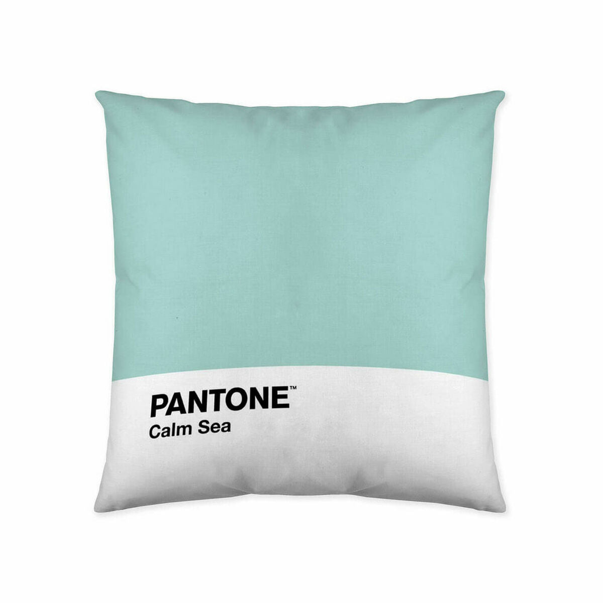 Tyynysuoja Calm Sea Pantone 63836298 (50 x 50 cm)