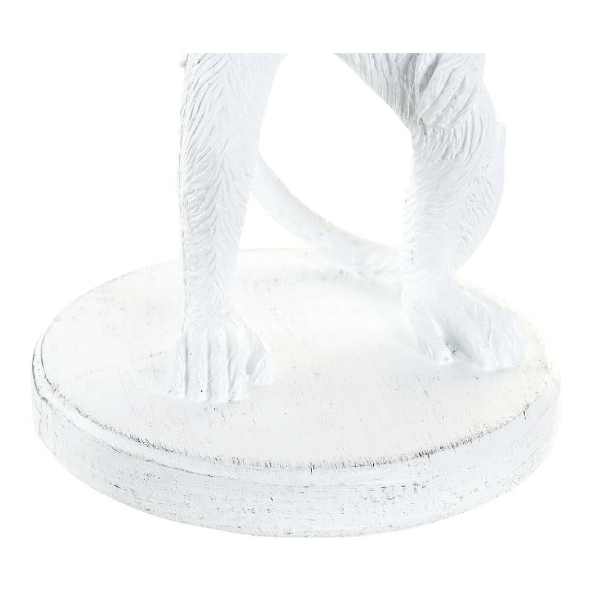 V10H7496753E7F9B88C5536ED50869B839DBR6371086P4