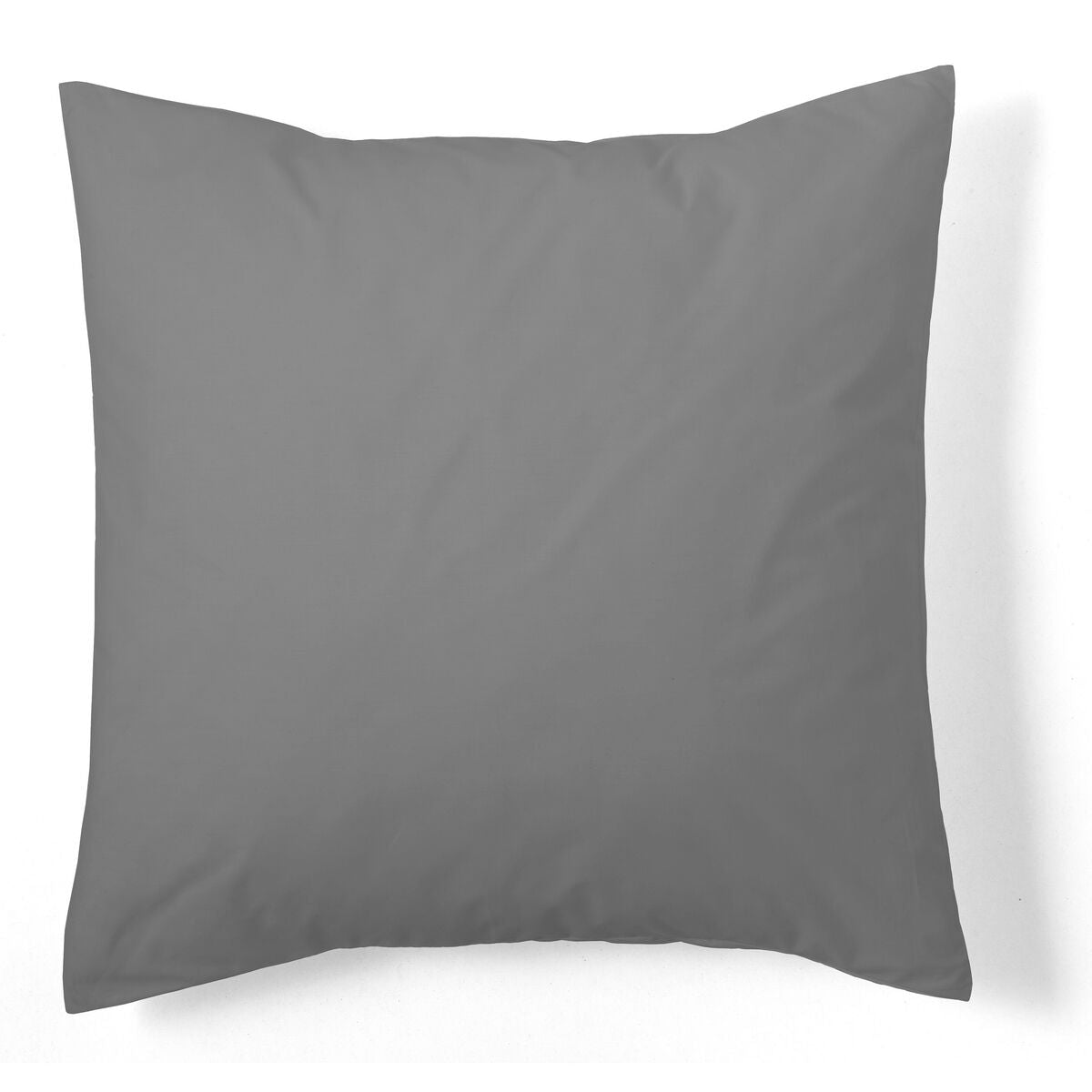 V2H8D8C0A0F1BB921979194A243244E5A9FR4455875P2