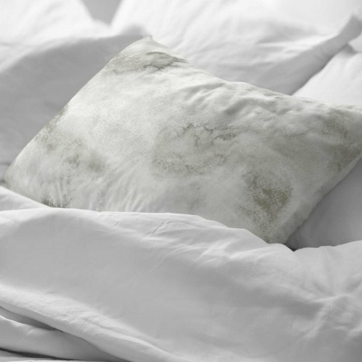 V2H1D2F51148E9C7FB9DB192A1E5DE31C0DR4500804P2