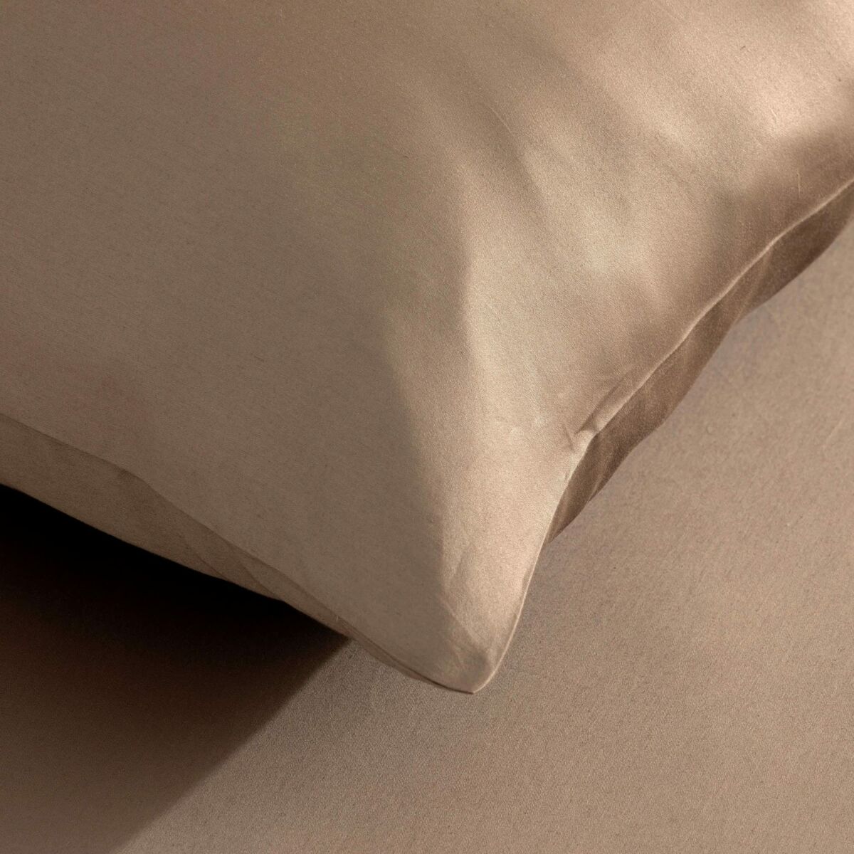 V3HF38F6F2A7A4C2B0F12FE185398FC87B6R4261054P2