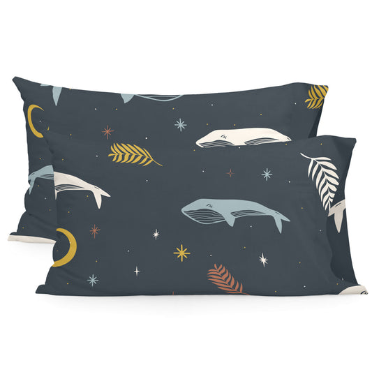 V2HA3377112693215FF5D6FE72EF14B5F89R4261836P1