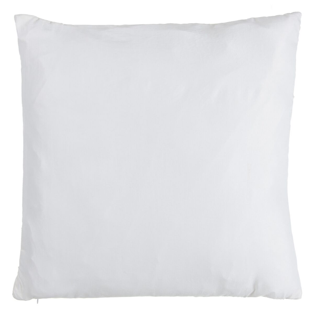 V2H0BDD2B47F9C1E4EA45DA5F02004C10C7R4434224P2