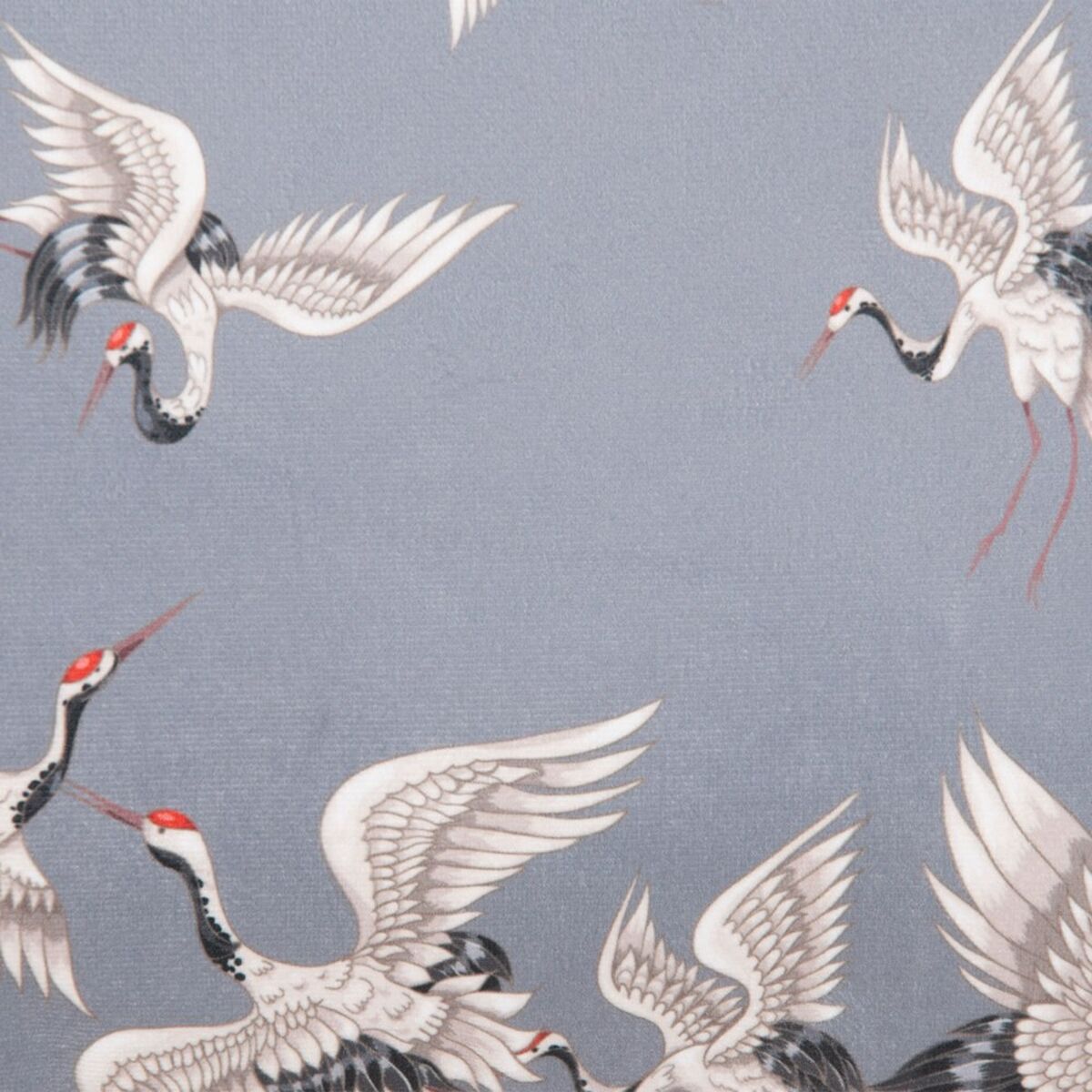 V2HCA6FE2E0D3DDCDFCCFC61E239966645BR4434090P3