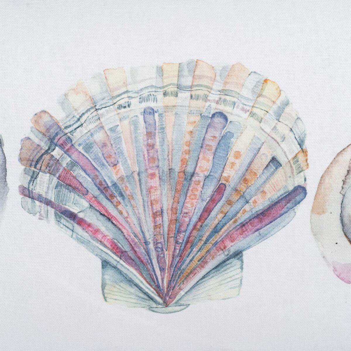 Tyyny 100% puuvillaa Shells 45 x 30 cm