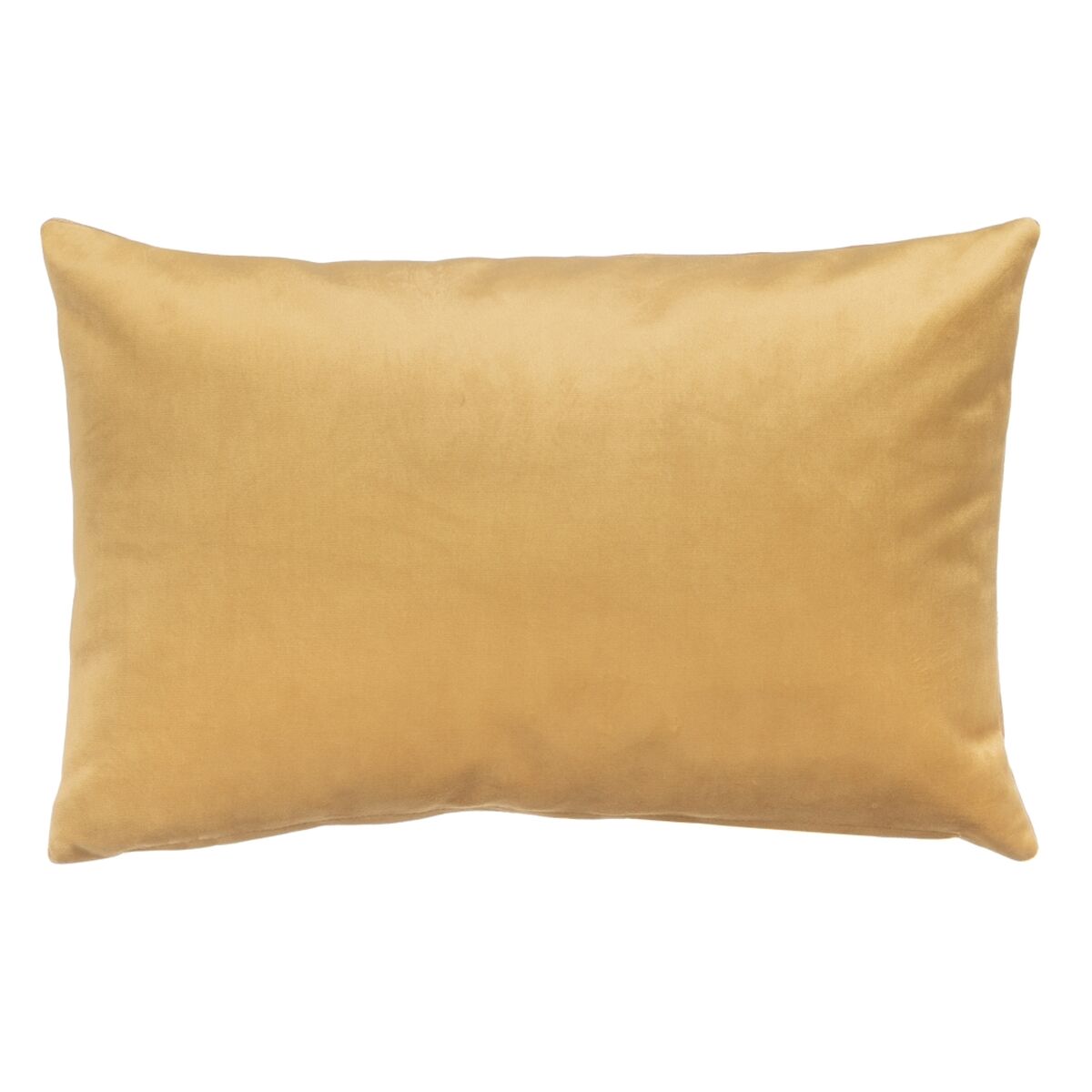 V3H39AE62D7408261013646D72160201D23R4491498P2